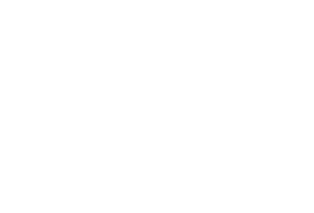Down2Shine logo